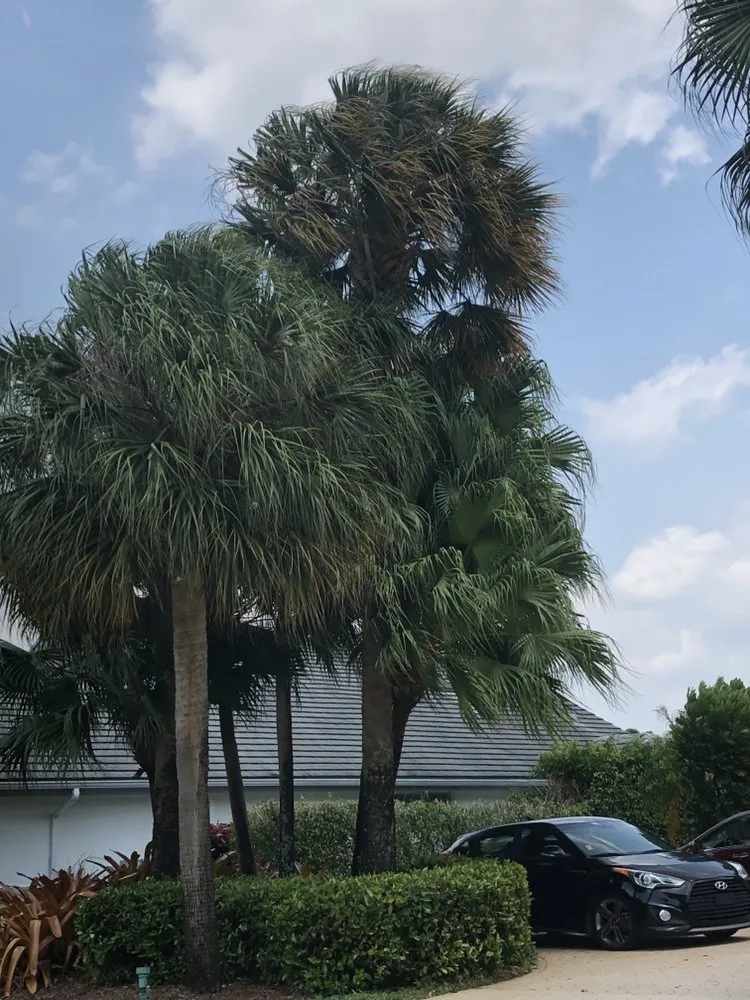 Professional yard maintenance in Boynton Beach, FL - Mj Services & lawn