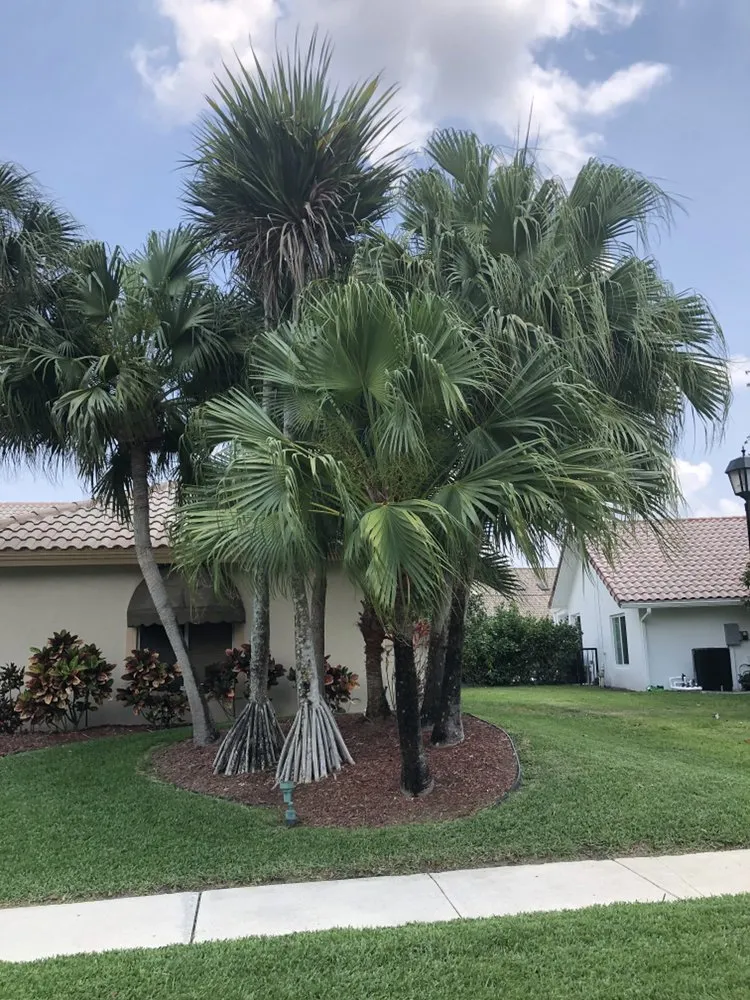 Custom landscape design in Boynton Beach, FL - Mj Services & lawn