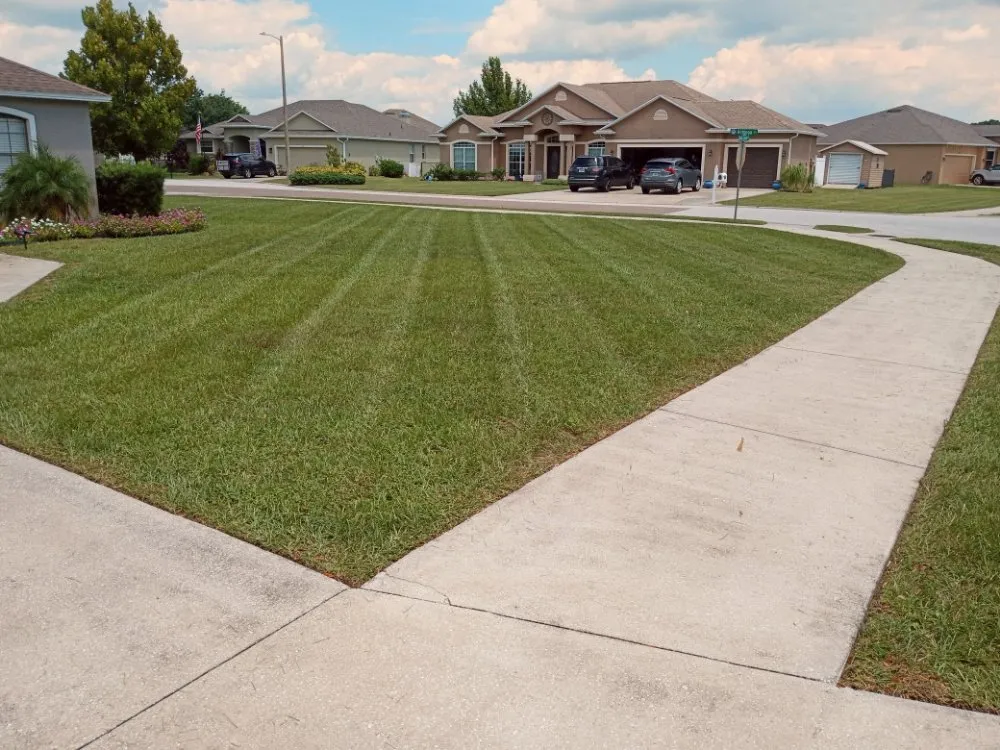 Reliable landscaping services in Lakeland, FL by MJ Stucco & Landscaping