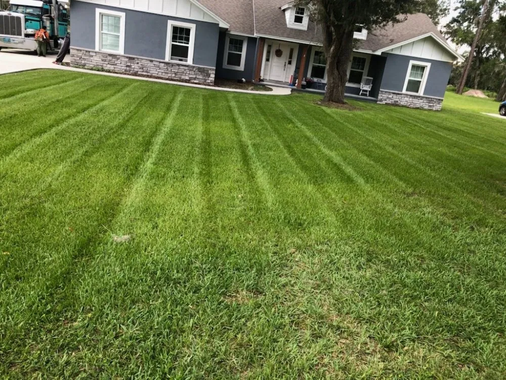 Professional yard maintenance near you across Lakeland, FL - MJ Stucco & Landscaping