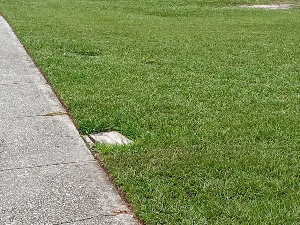 Trusted garden landscaping for beautiful yards across Lakeland, FL - MJ Stucco & Landscaping