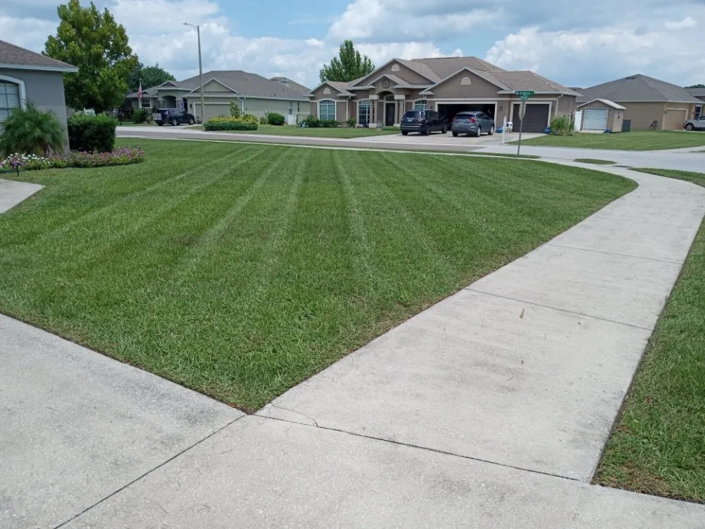 Trusted lawn care service in Lakeland, FL - MJ Stucco & Landscaping