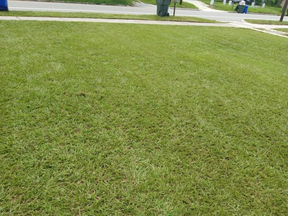 Trusted landscaping services in Lakeland, FL by MJ Stucco & Landscaping