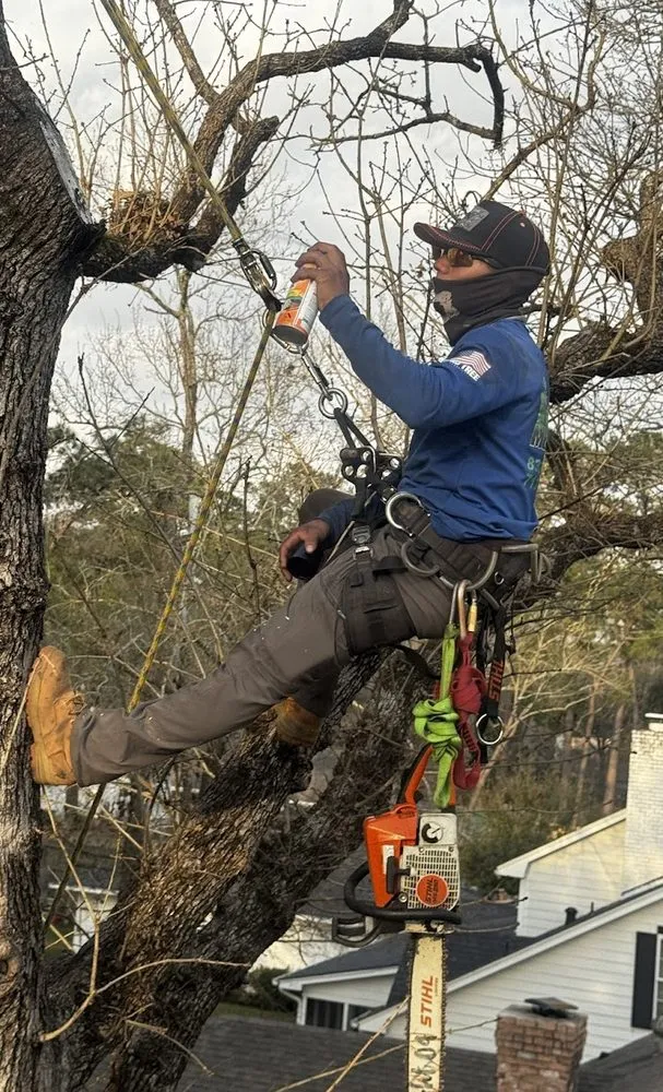 Local outdoor landscaping near you in Spring, TX by M&J Tree Professionals