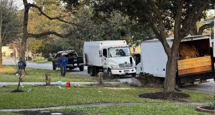 Trusted lawn mowing service in Spring, TX by M&J Tree Professionals