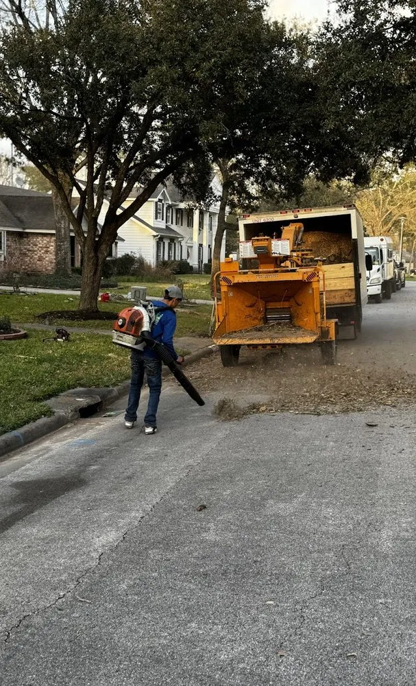 Top-rated yard cleanup service in Spring, TX - M&J Tree Professionals