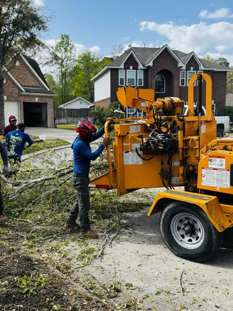 Expert landscape design in Spring, TX by M&J Tree Professionals