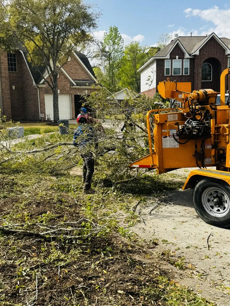 Top-rated outdoor landscaping for beautiful yards across Spring, TX - M&J Tree Professionals