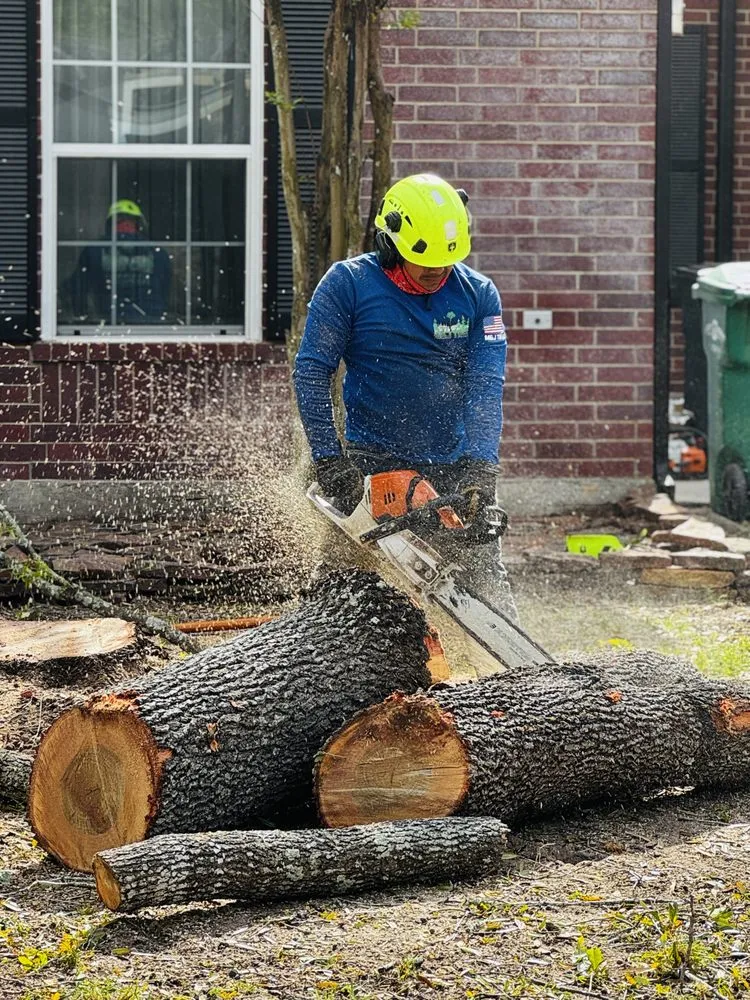 Local landscape design for residential properties in Spring, TX by M&J Tree Professionals