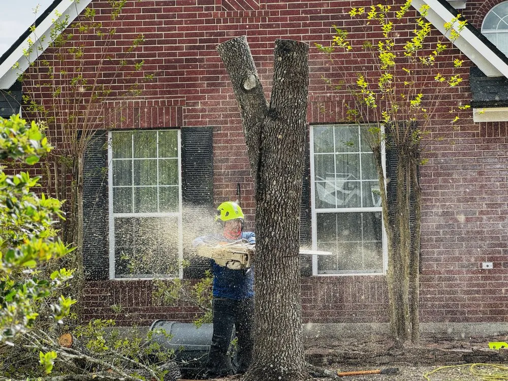 Custom landscape installation in Spring, TX - M&J Tree Professionals