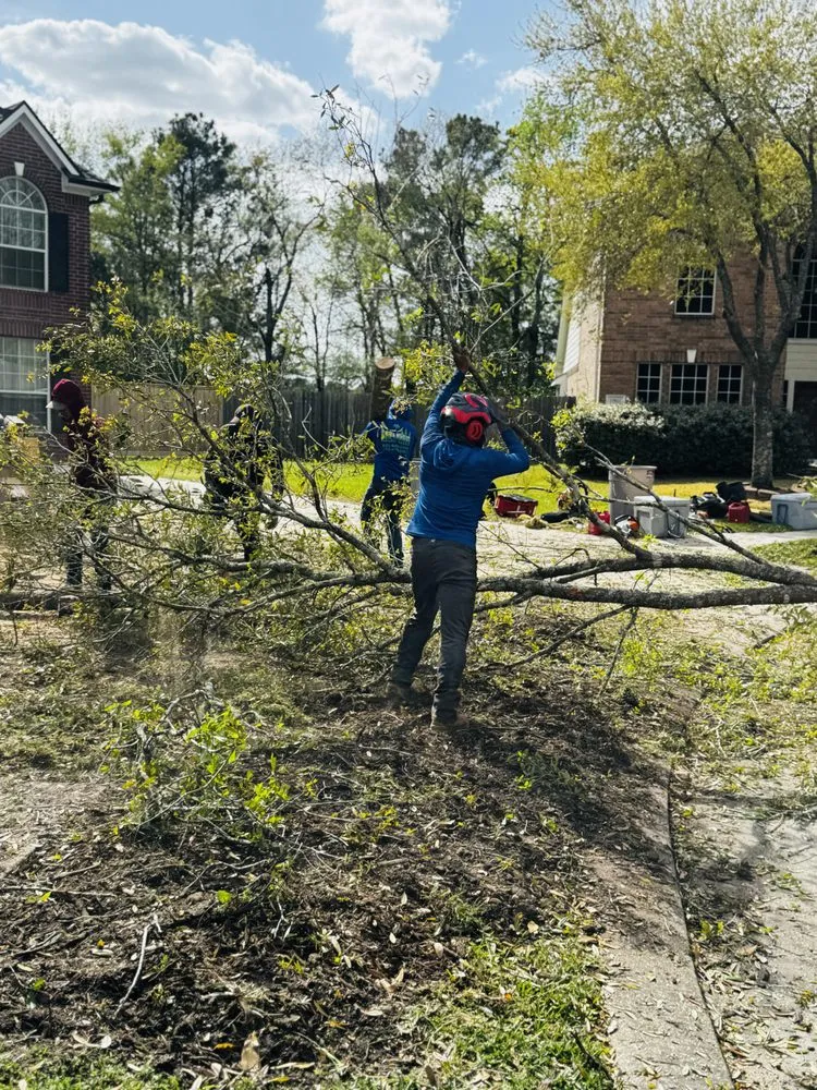 Top-rated garden landscaping in Spring, TX - M&J Tree Professionals