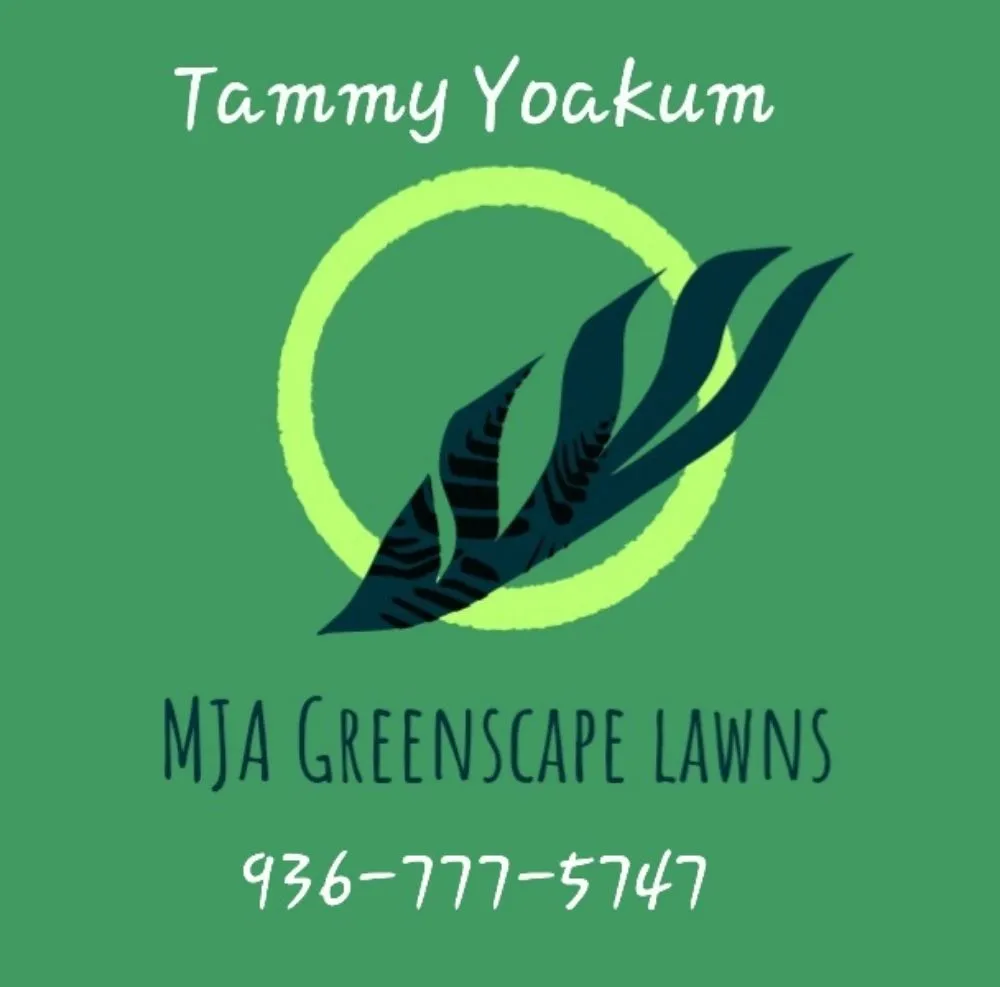 Affordable landscaping services for homes across Houston, TX - Mja Greenscape Lawn