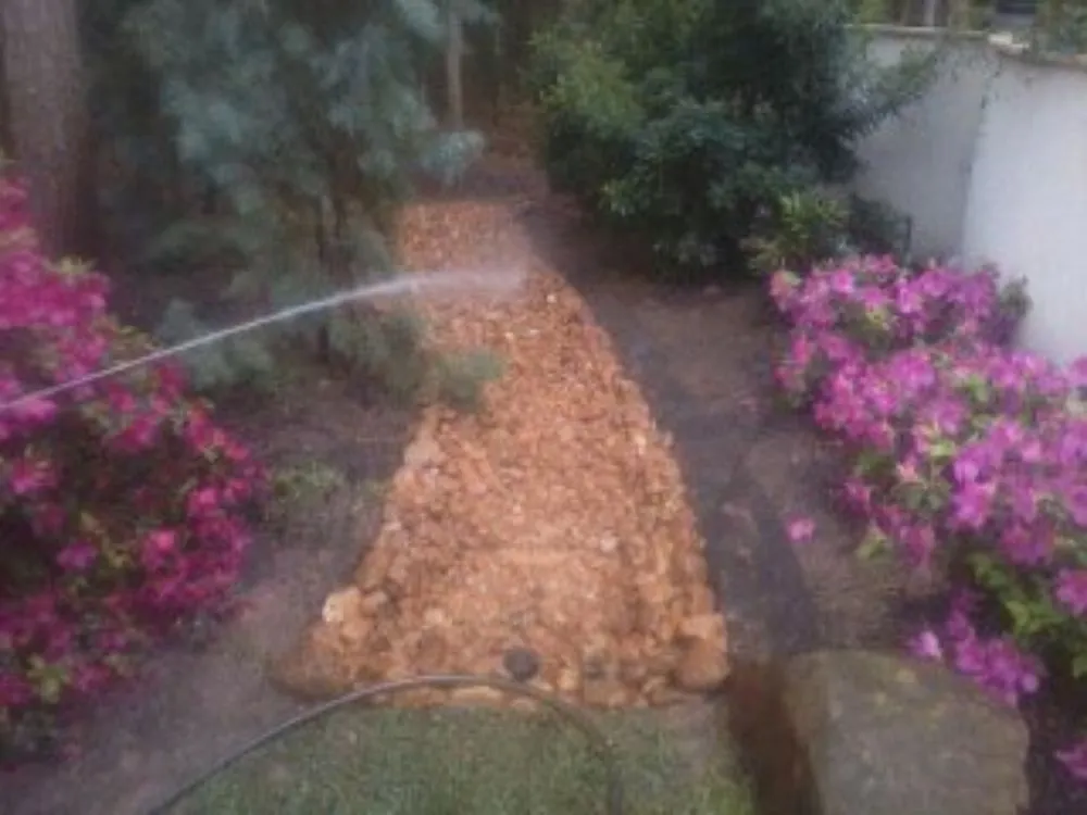 Professional yard cleanup service for homes across Houston, TX - Mja Greenscape Lawn