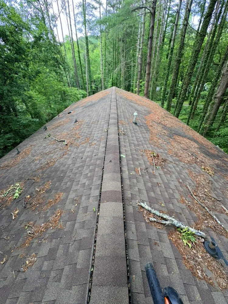 Professional yard cleanup service near you in Hendersonville, NC by MJA Landscaping