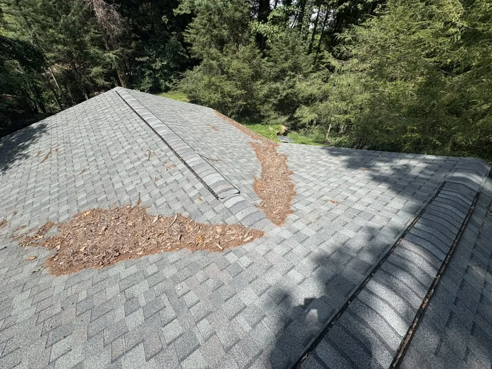 Custom lawn mowing service in Hendersonville, NC - MJA Landscaping