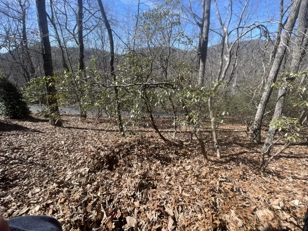 Local outdoor landscaping for year-round maintenance in Hendersonville, NC by MJA Landscaping