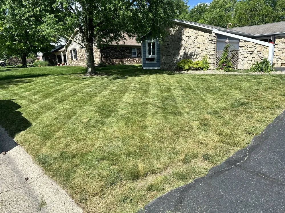 Professional yard cleanup service in Sheridan, IN - MJB Lawn Services