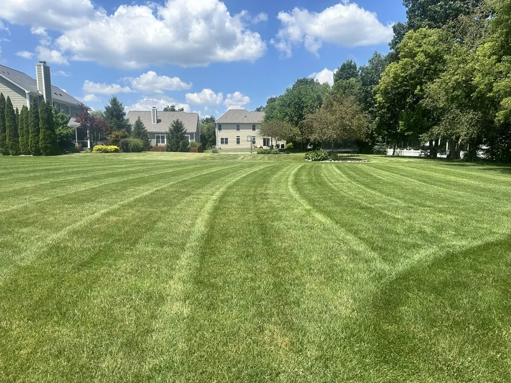 Professional yard cleanup service experts serving Sheridan, IN - MJB Lawn Services