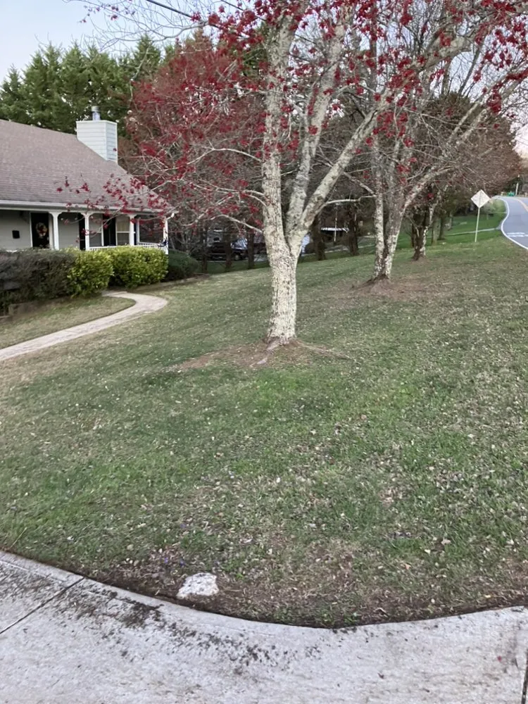 Local lawn mowing service for year-round maintenance across Holly Springs, GA - MJC Lawn Care