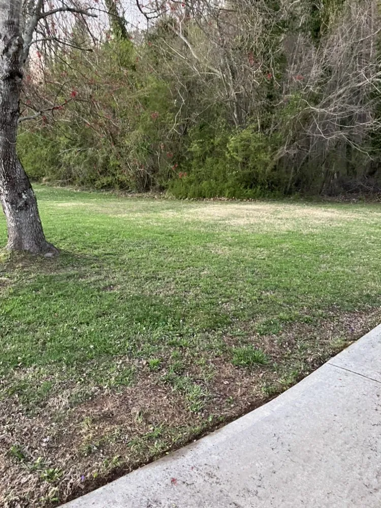 Professional lawn mowing service for beautiful yards in Holly Springs, GA by MJC Lawn Care