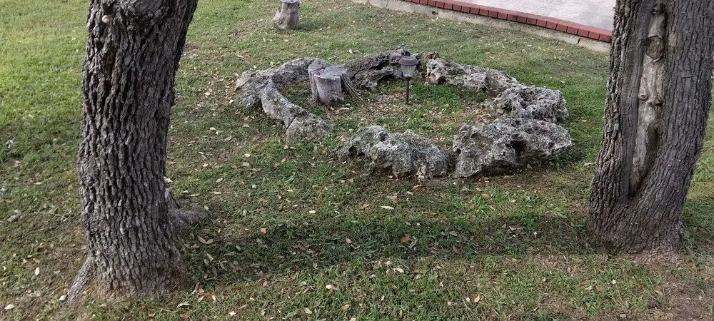 Reliable lawn mowing service for year-round maintenance across Killeen, TX - MJC Lawn Service and More