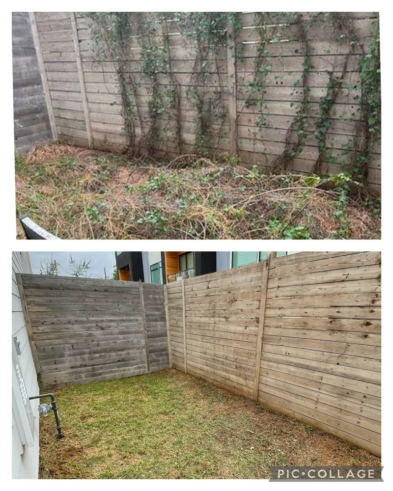 Custom lawn care service for year-round maintenance in Dallas, TX by MJC Proficient Services