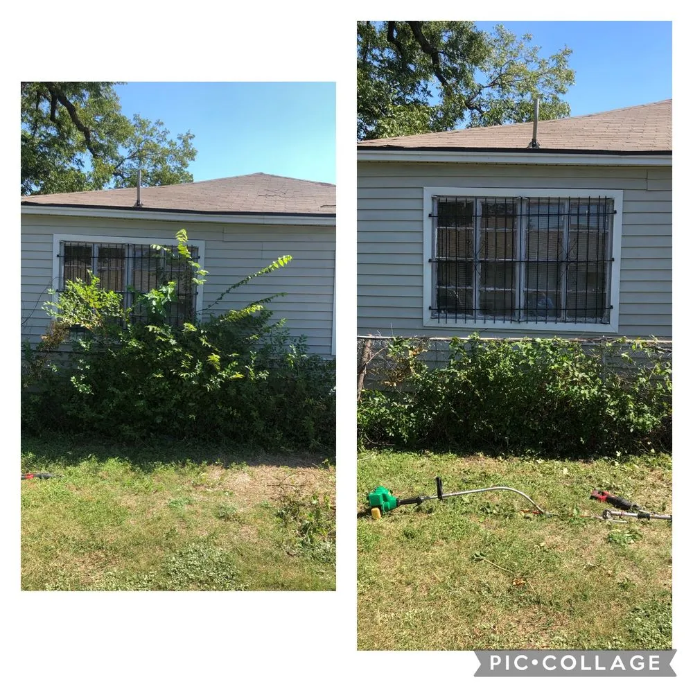 Trusted yard cleanup service experts serving Dallas, TX - MJC Proficient Services