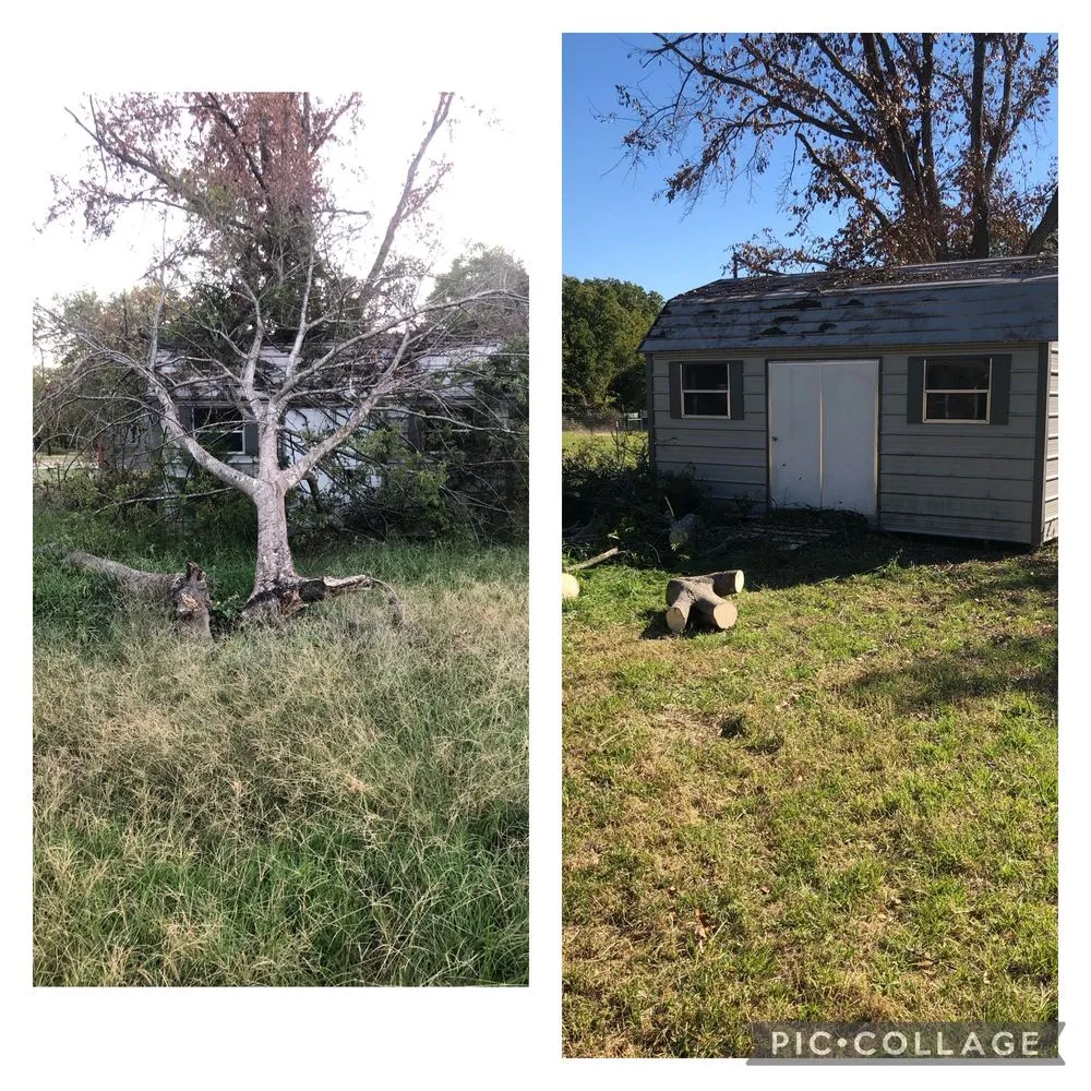 Affordable landscape design with custom design across Dallas, TX - MJC Proficient Services