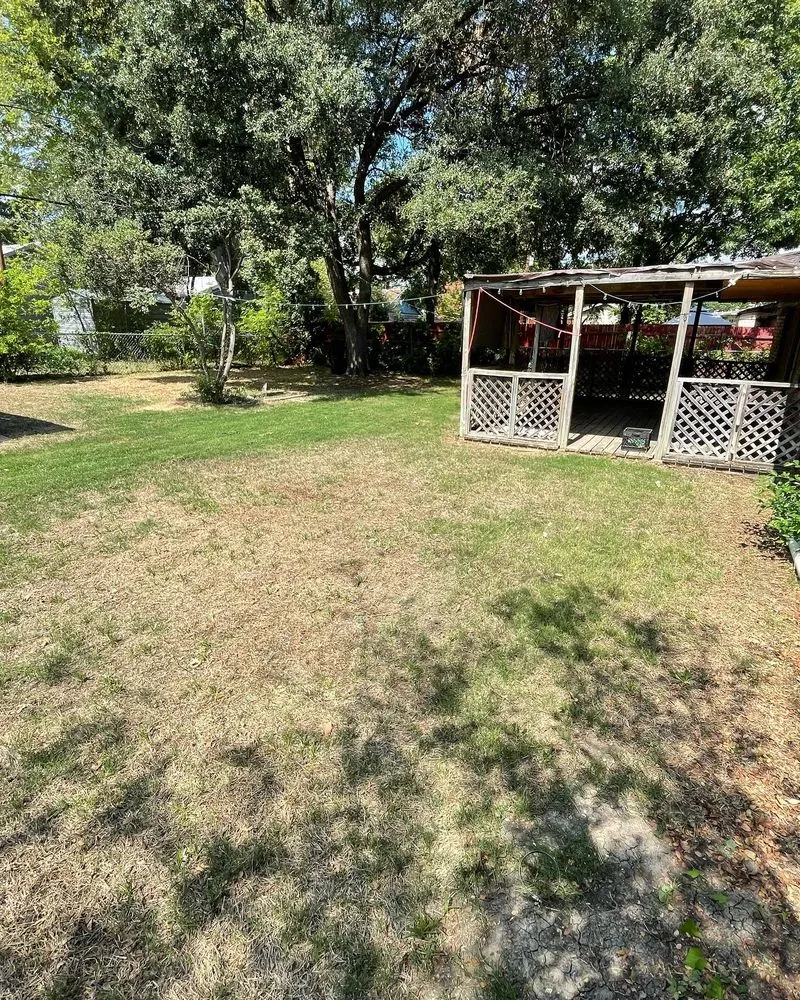 Affordable garden landscaping in Dallas, TX - MJC Proficient Services