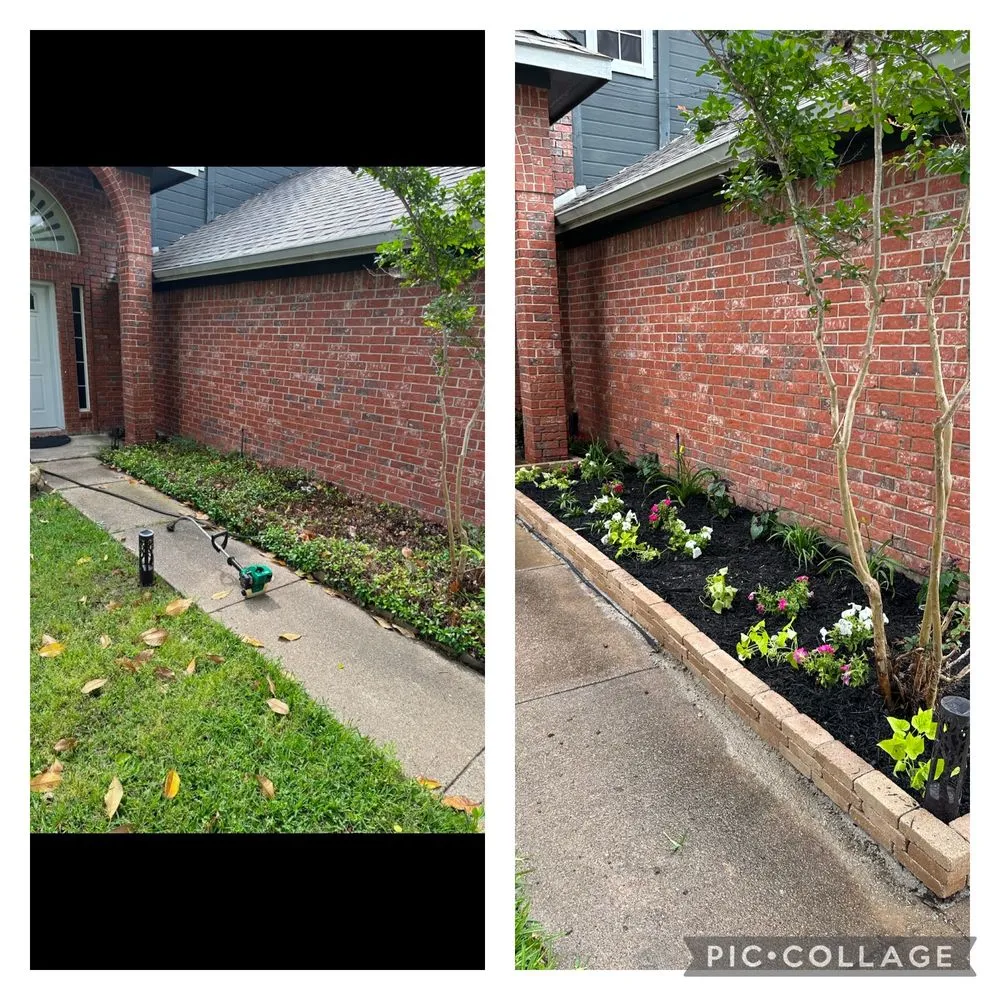 Professional lawn care service in Dallas, TX - MJC Proficient Services