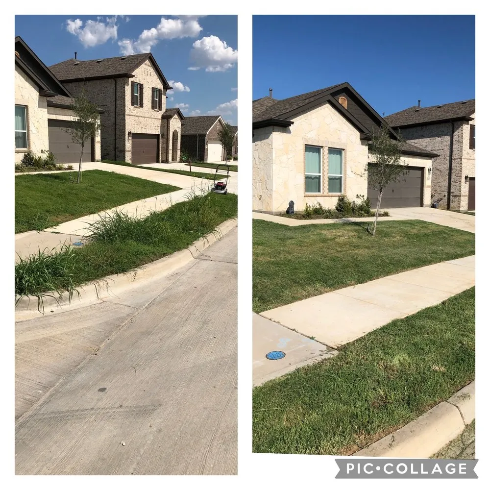Affordable lawn care service in Dallas, TX by MJC Proficient Services