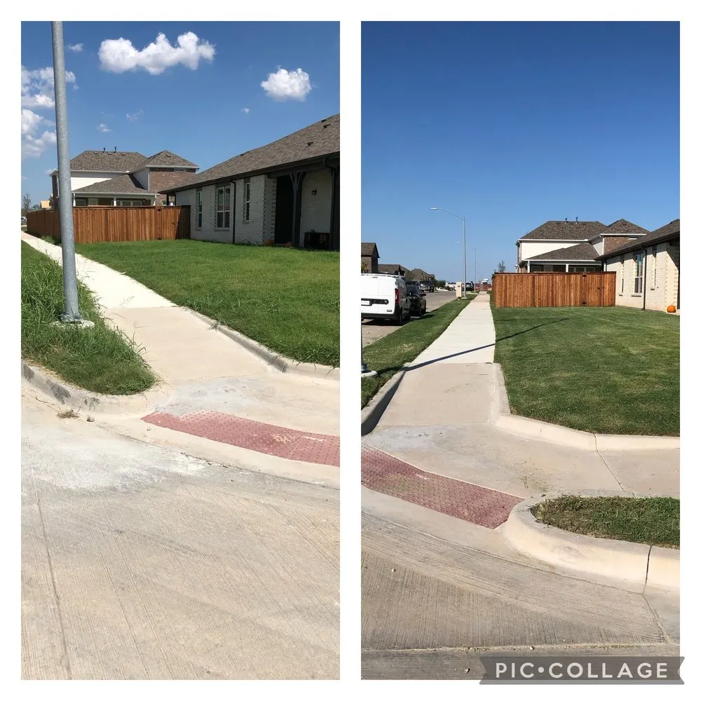 Reliable yard cleanup service in Dallas, TX by MJC Proficient Services