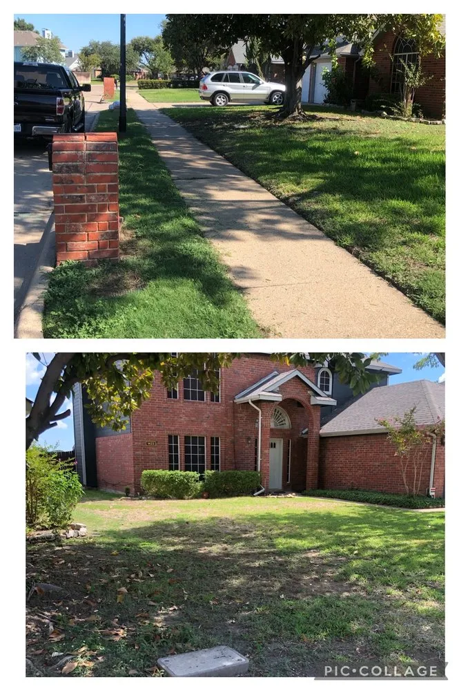 Local lawn care service for homes in Dallas, TX by MJC Proficient Services