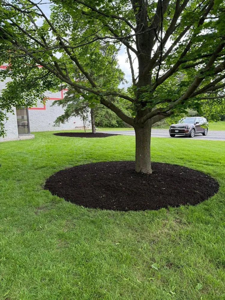Reliable outdoor landscaping in Oconomowoc, WI - MJD Landscaping