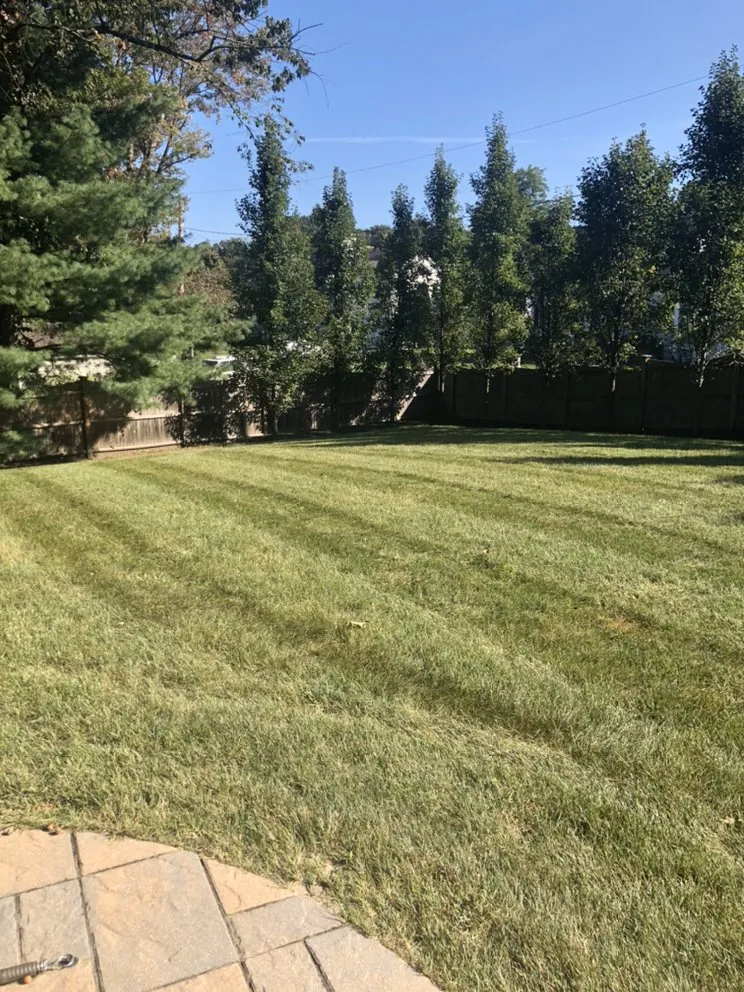 Local landscape installation experts serving Wilmington, MA - MJD Landscaping
