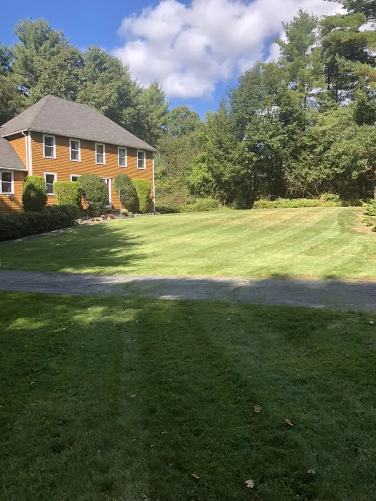 Trusted landscaping services near you in Wilmington, MA by MJD Landscaping