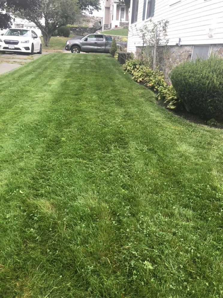 Reliable yard cleanup service for residential properties across Wilmington, MA - MJD Landscaping
