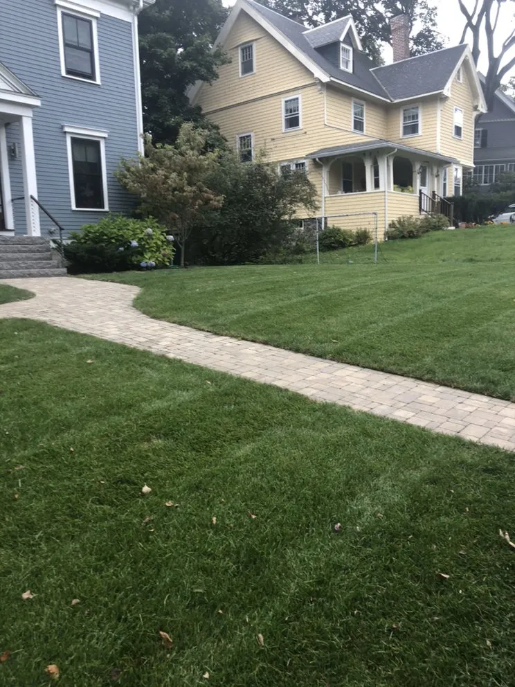 Custom residential landscaping for year-round maintenance across Wilmington, MA - MJD Landscaping