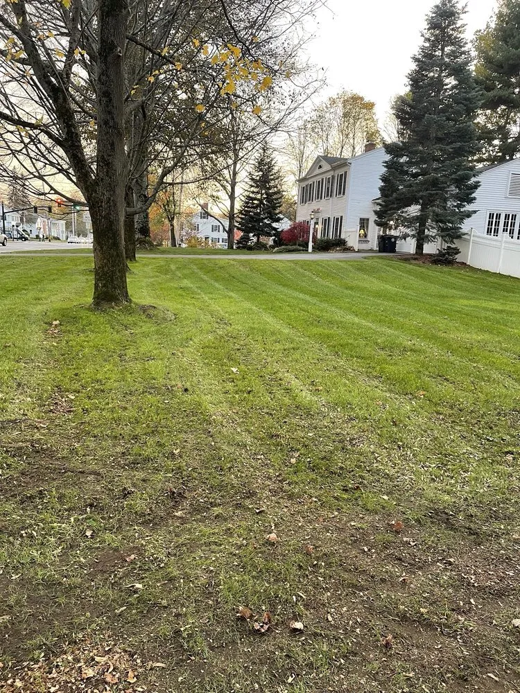 Reliable landscape design for homes across Wilmington, MA - MJD Landscaping