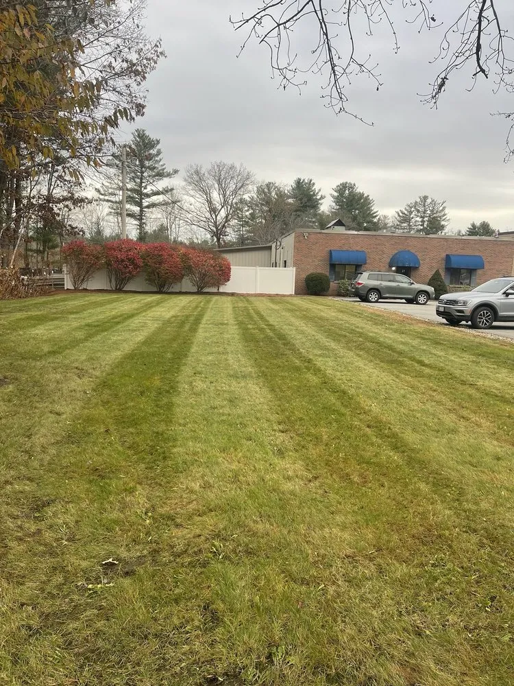 Local landscape design for beautiful yards in Wilmington, MA by MJD Landscaping