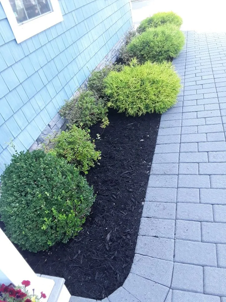 Trusted landscape design near you across Central Islip, NY - Mjdbonilla Landscaping