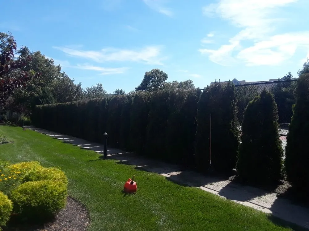 Reliable yard maintenance near you across Central Islip, NY - Mjdbonilla Landscaping
