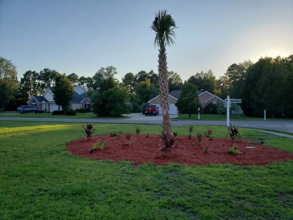 Local yard cleanup service near you in Myrtle Beach, SC by mjg trucking & excavating