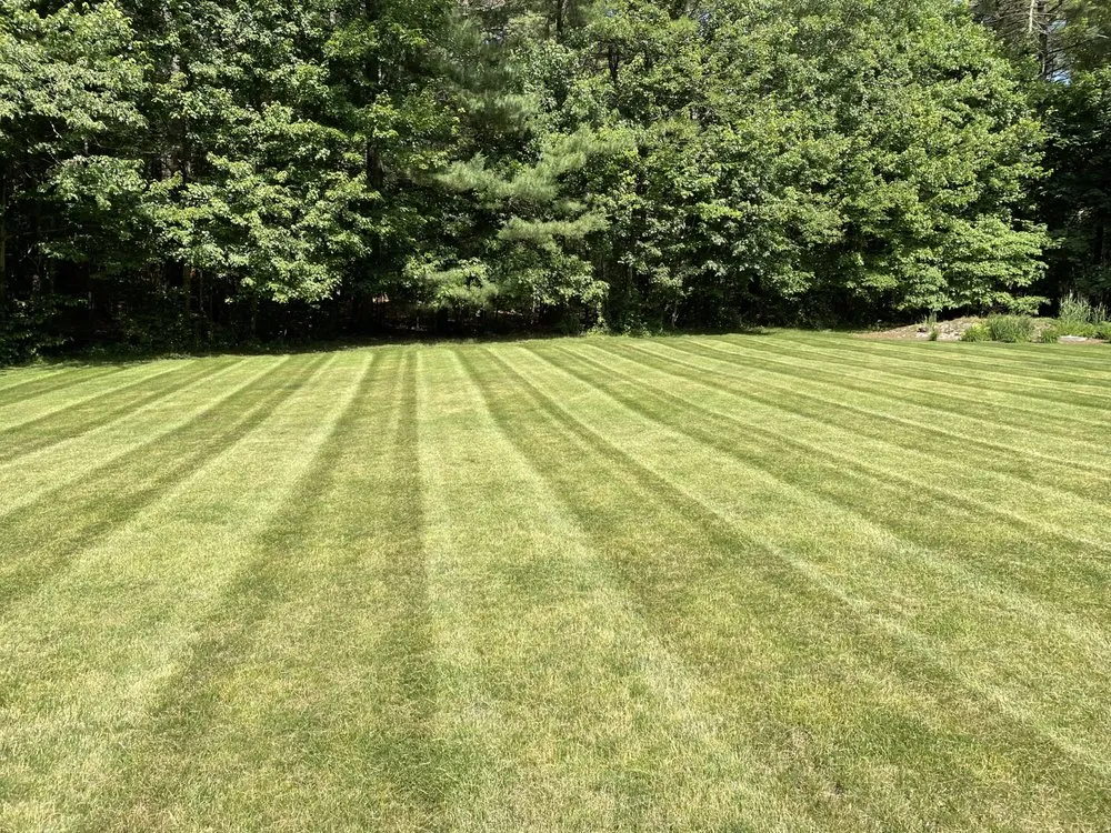 Custom yard cleanup service with custom design across Millis, MA - MJH Landscaping