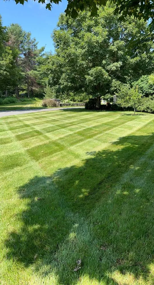 Professional yard maintenance in Millis, MA - MJH Landscaping