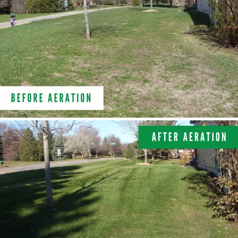 Affordable yard cleanup service for year-round maintenance in Troy, OH by MJH Lawn Care