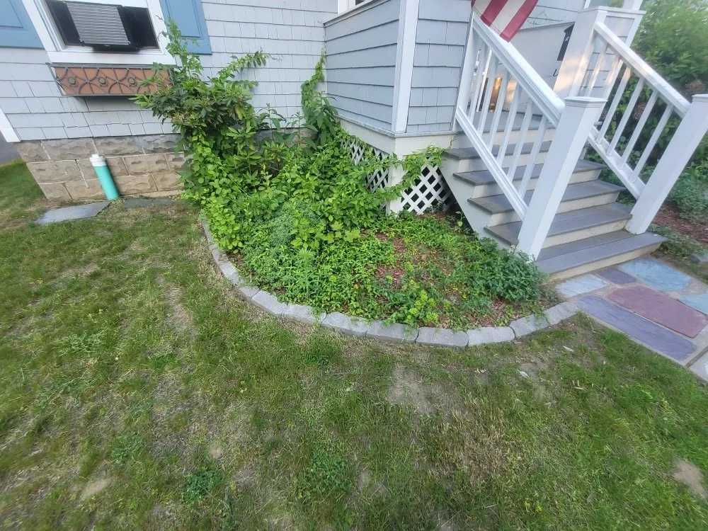 Professional landscaping services for homes in Rensselaer, NY by MJI Outdoor Services