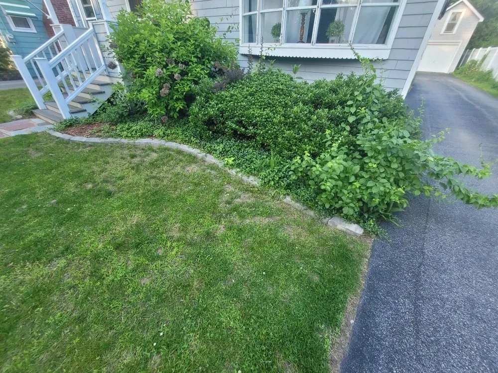 Affordable yard maintenance for homes in Rensselaer, NY by MJI Outdoor Services