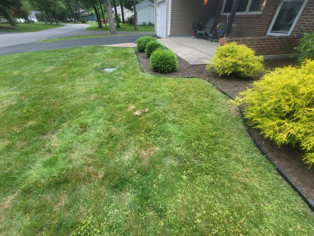 Reliable landscaping services for outdoor upgrades in Rensselaer, NY by MJI Outdoor Services