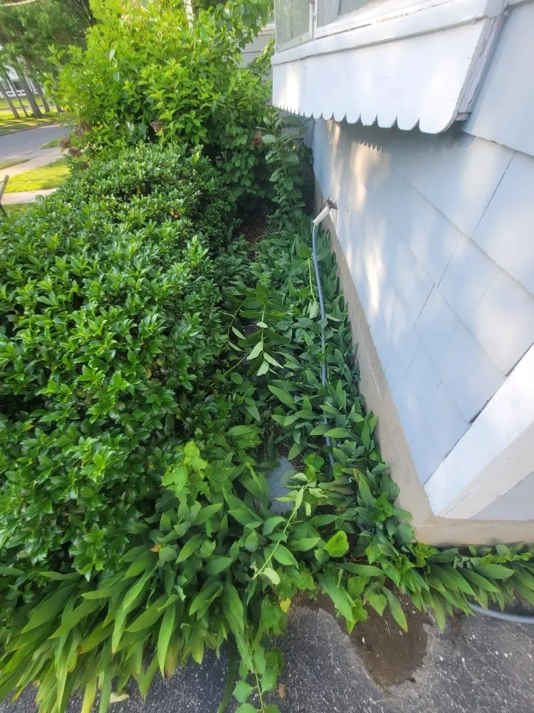 Professional landscape installation experts serving Rensselaer, NY - MJI Outdoor Services